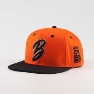 Wholesale Top Quality 6 Panel 3D Embroidery Custom Fashion Outdoor Gorras Flat Brim Two-tone Snapback Caps